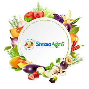 vegetables